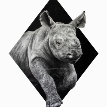Zeichnungen mit dem Titel "Bébé Rhino" von Magali Lapeyre-Mirande, Original-Kunstwerk, Bleistift