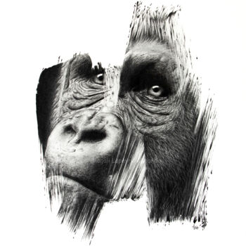 Drawing titled "Gorille" by Magali Lapeyre-Mirande, Original Artwork, Pencil