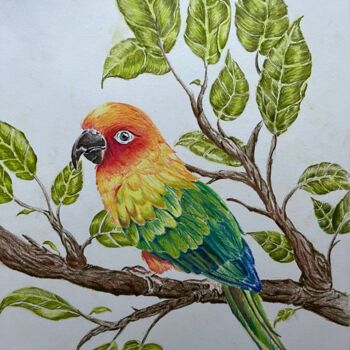 Drawing titled "Colorful Bird" by Mahmud Awang, Original Artwork, Pencil