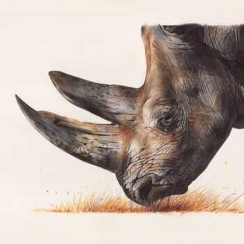 Dessin intitulée "White Rhinoceros -…" par Daria Maier, Œuvre d'art originale, Stylo à bille