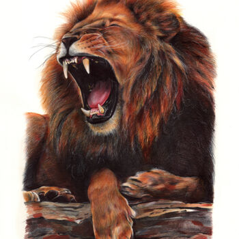Drawing titled "African Lion - Anim…" by Daria Maier, Original Artwork, Ballpoint pen