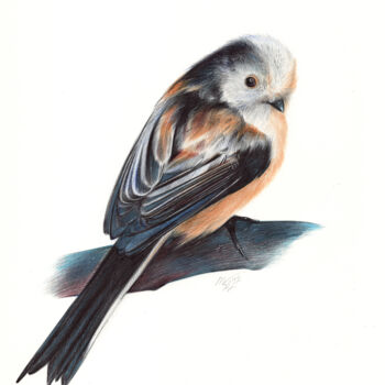 Dessin intitulée "Long-tailed Tit - (…" par Daria Maier, Œuvre d'art originale, Stylo à bille