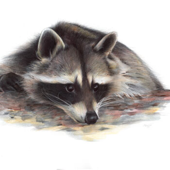 Dessin intitulée "Raccoon portrait (P…" par Daria Maier, Œuvre d'art originale, Stylo à bille