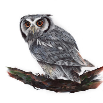 Drawing titled "Eurasian Scops Owl…" by Daria Maier, Original Artwork, Ballpoint pen