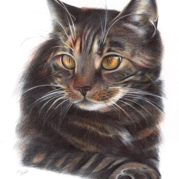 Drawing titled "Cat (Photorealistic…" by Daria Maier, Original Artwork, Ballpoint pen