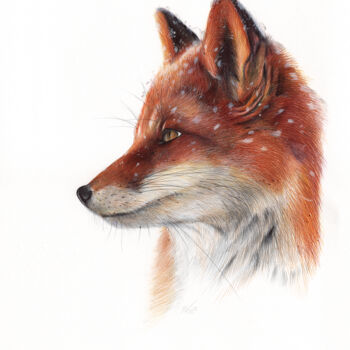 Zeichnungen mit dem Titel "Red Fox II (Realist…" von Daria Maier, Original-Kunstwerk, Kugelschreiber