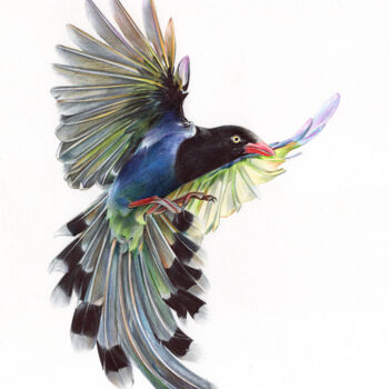 「Taiwan Blue Magpie…」というタイトルの描画 Daria Maierによって, オリジナルのアートワーク, ボールペン