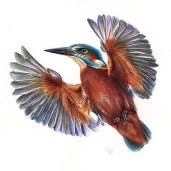 「River Kingfisher II…」というタイトルの描画 Daria Maierによって, オリジナルのアートワーク, ボールペン