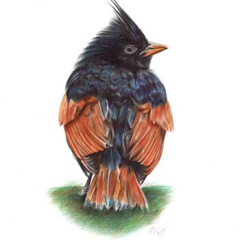 Desenho intitulada "Crested Bunting (Re…" por Daria Maier, Obras de arte originais, Canetac de aerossol