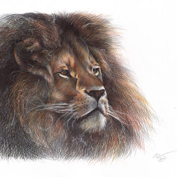 Drawing titled "Lion - Animal Portr…" by Daria Maier, Original Artwork, Ballpoint pen