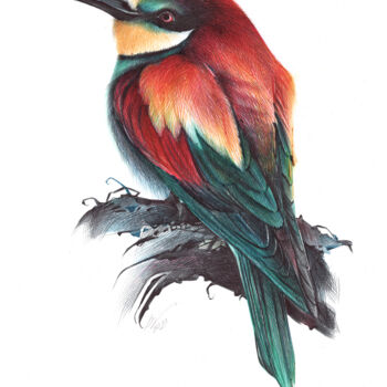 Drawing titled "European Bee-eater…" by Daria Maier, Original Artwork, Ballpoint pen