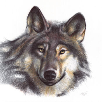 Drawing titled "Grey Wolf (Realisti…" by Daria Maier, Original Artwork, Ballpoint pen