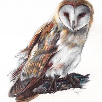 Dessin intitulée "Barn Owl - Bird Por…" par Daria Maier, Œuvre d'art originale, Stylo à bille