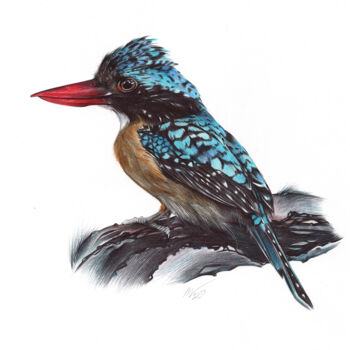 「Banded Kingfisher (…」というタイトルの描画 Daria Maierによって, オリジナルのアートワーク, ボールペン