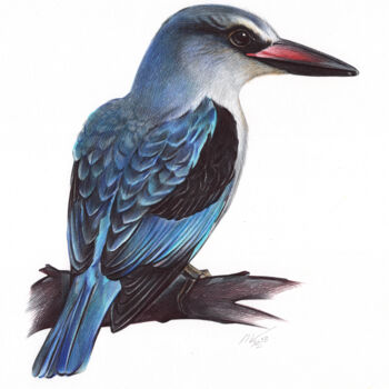 Drawing titled "Woodland Kingfisher…" by Daria Maier, Original Artwork, Ballpoint pen