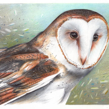 Drawing titled "Barn Owl II (Realis…" by Daria Maier, Original Artwork, Ballpoint pen