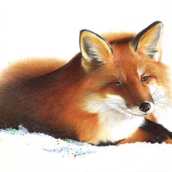 Рисунок под названием "Red Fox V (Realisti…" - Daria Maier, Подлинное произведение искусства, Шариковая ручка