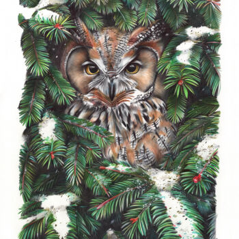 Drawing titled "Owl in Spruce Branc…" by Daria Maier, Original Artwork, Ballpoint pen