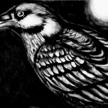 Dibujo titulada "raven moon" por Maitresseb, Obra de arte original, Otro