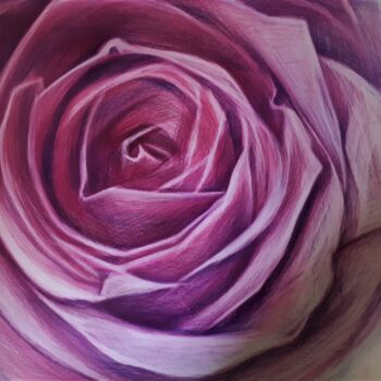 Tekening getiteld "Desert Rose" door Maja Poljak, Origineel Kunstwerk, Potlood
