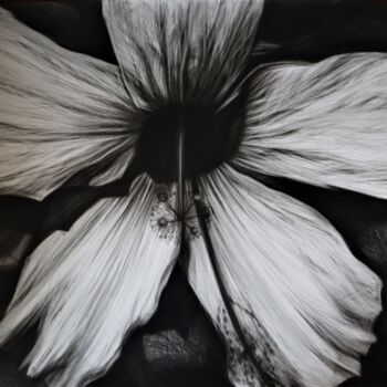 Рисунок под названием "Hibiscus Flower" - Maja Poljak, Подлинное произведение искусства, Карандаш