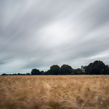 Фотография под названием "blés aux vents" - Pascal Viaud, Подлинное произведение искусства, Цифровая фотография