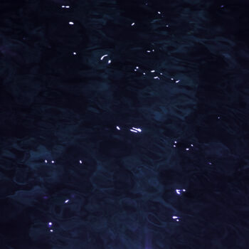 Fotografia intitolato "Constellation Bleue" da Malaika Marie Jeanne, Opera d'arte originale, Fotografia digitale