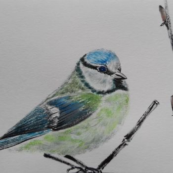 Drawing titled "Blue Tit from my pa…" by Malgorzata Olejniczak, Original Artwork, Ink