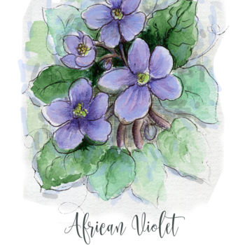 Peinture intitulée "African Violet" par Malinda Ann Raines, Œuvre d'art originale, Aquarelle