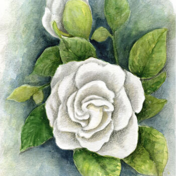 Pintura titulada "Magnolia flower" por Malinda Ann Raines, Obra de arte original, Acuarela