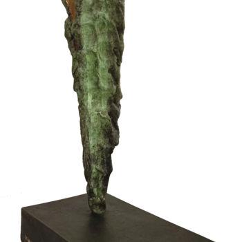 Sculpture titled "riflessi" by Marcello Mancuso, Original Artwork, Bronze