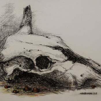 Tekening getiteld "Bull's cranium" door Mandy Sand, Origineel Kunstwerk, Pastel