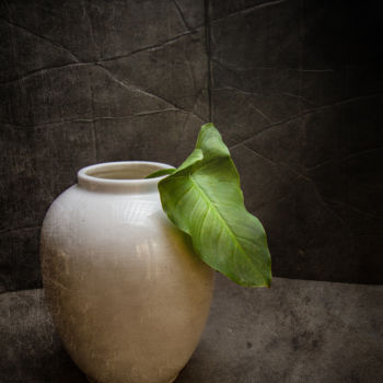 Photographie intitulée "Vase blanc" par Jean-François Mansencal, Œuvre d'art originale, Photographie numérique
