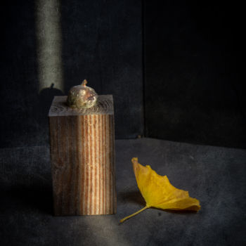 Photographie intitulée "figue pourrie" par Jean-François Mansencal, Œuvre d'art originale, Photographie numérique