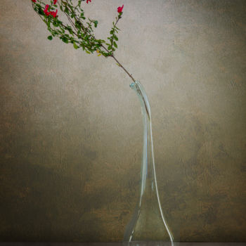 Photographie intitulée "Petites fleurs 2" par Jean-François Mansencal, Œuvre d'art originale, Photographie numérique