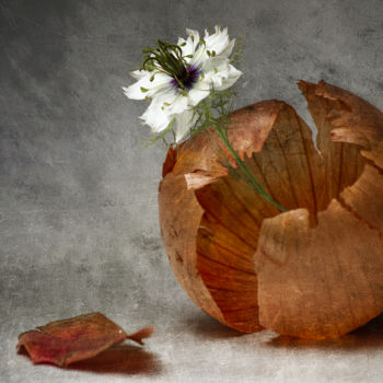 Photographie intitulée "Fleur d'oignon" par Jean-François Mansencal, Œuvre d'art originale, Photographie numérique