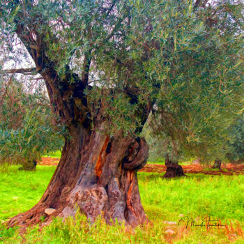 Fotografia intitolato "Old olive tree - 3" da Manolis Tsantakis, Opera d'arte originale, Fotografia digitale