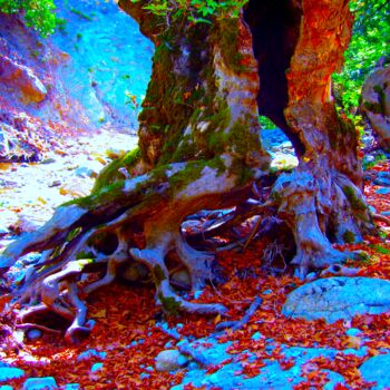 Digitale Kunst getiteld "Red Tree" door Manos Chronakis, Origineel Kunstwerk, Foto Montage