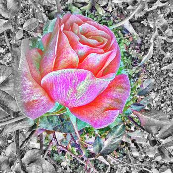 Digital Arts titled "Dreamy One Rose" by Manos Chronakis, Original Artwork, Digital Painting