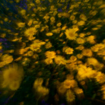 Photographie intitulée "sueño de Primavera" par Manu Cruz, Œuvre d'art originale, Photographie numérique