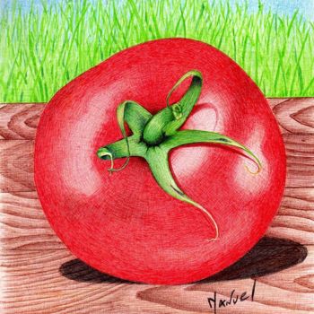 Dessin intitulée "la tomate" par Manu Draftsman, Œuvre d'art originale