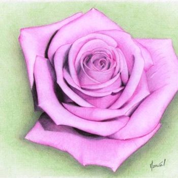 Drawing titled "la-rose" by Manu Draftsman, Original Artwork