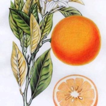 Dessin intitulée "orange" par Manu Draftsman, Œuvre d'art originale