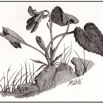 Tekening getiteld "flor y rocas" door Manuel Velis Gaspar, Origineel Kunstwerk