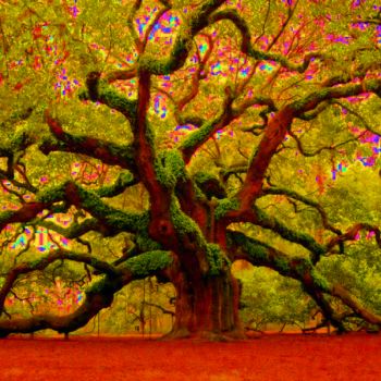 Fotografia intitolato "Photo d arbre refai…" da Florence Castelli  Flofloyd, Opera d'arte originale