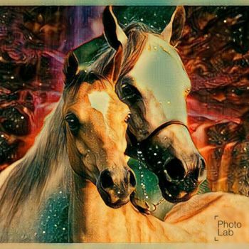 Fotografía titulada "Des chevaux comme J…" por Florence Castelli  Flofloyd, Obra de arte original