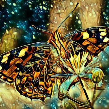 Photography titled "Magnifique papillon…" by Florence Castelli  Flofloyd, Original Artwork