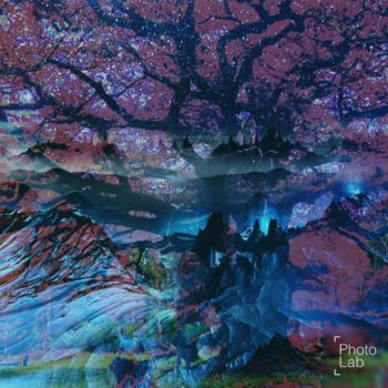 Photographie intitulée "Un arbre dans la mo…" par Florence Castelli  Flofloyd, Œuvre d'art originale