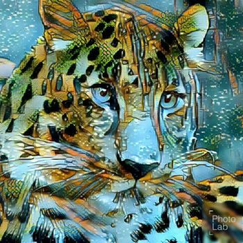 Fotografia intitulada "Un tigre dans toute…" por Florence Castelli  Flofloyd, Obras de arte originais