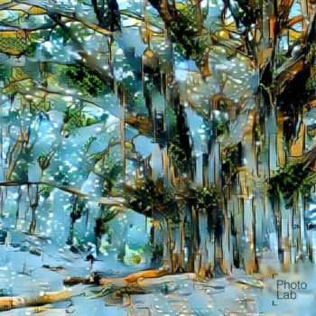 Фотография под названием "Un arbre à ma façon" - Florence Castelli  Flofloyd, Подлинное произведение искусства